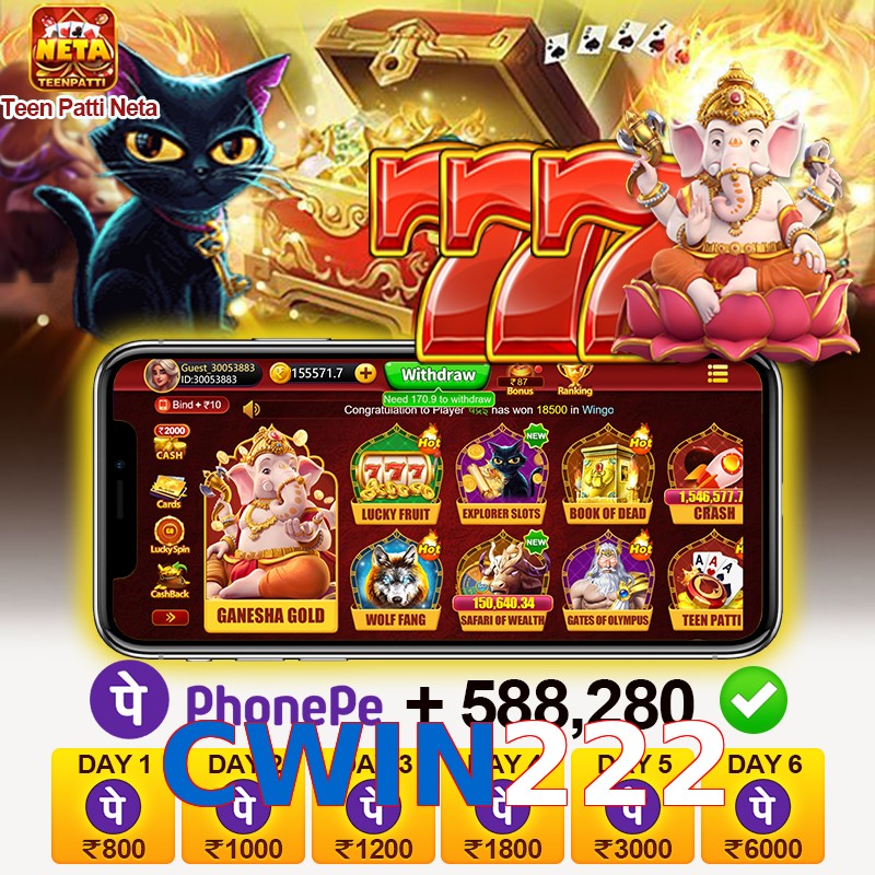 CWIN222