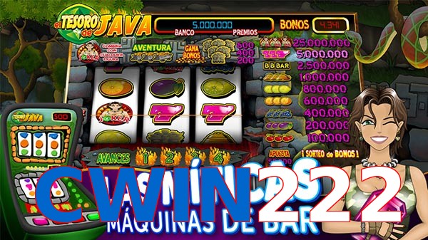 CWIN222