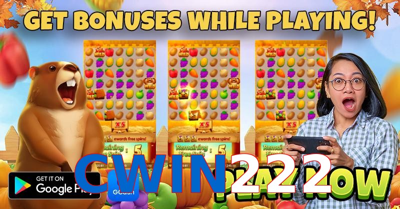 CWIN222