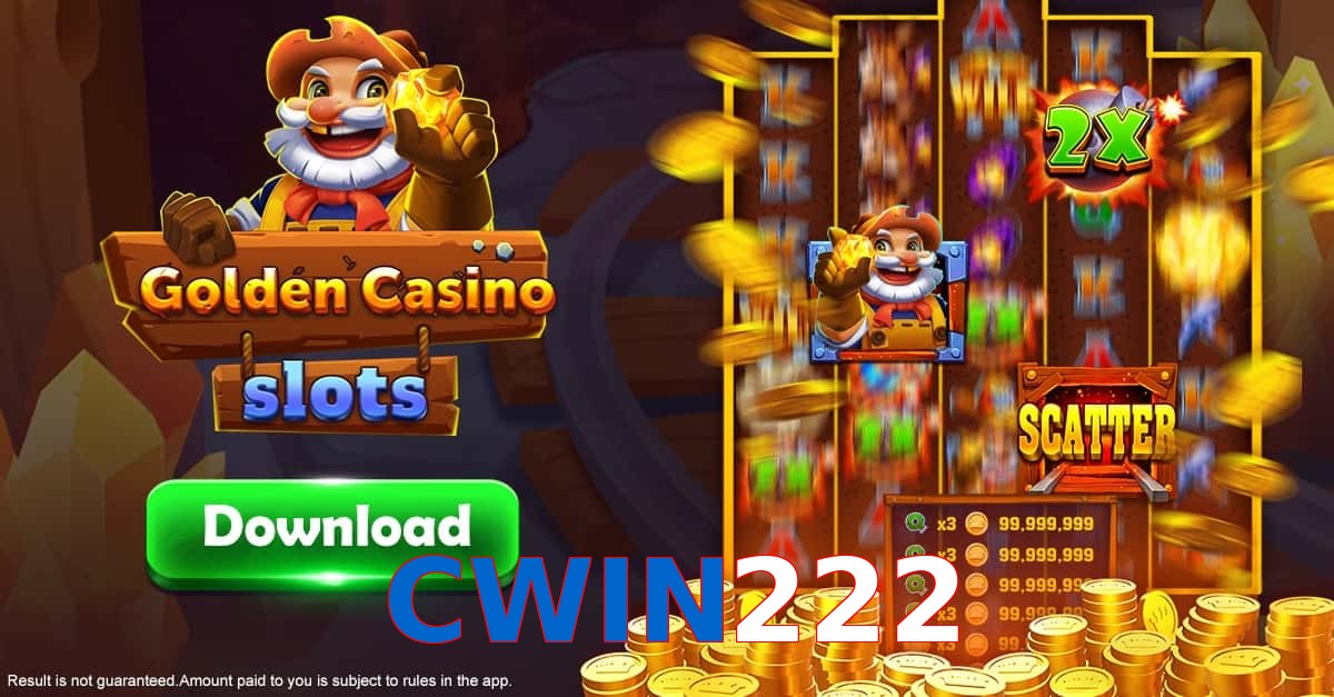 CWIN222