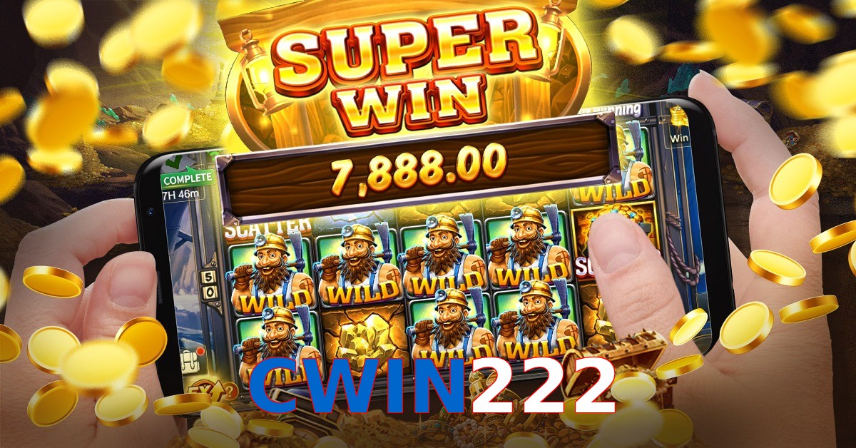 CWIN222
