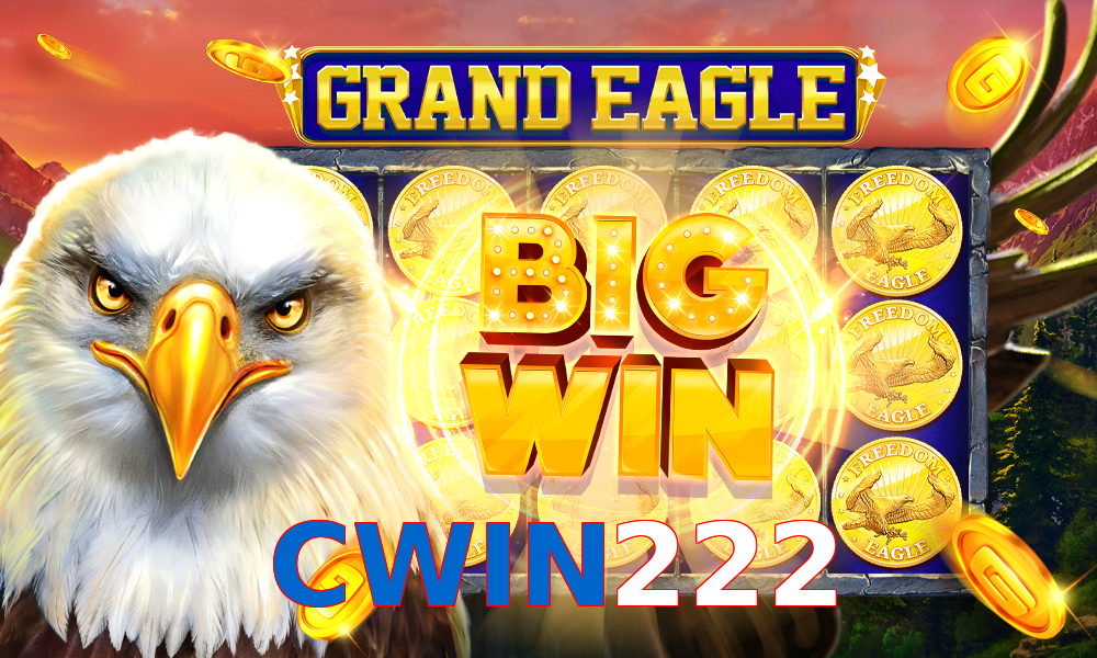 CWIN222