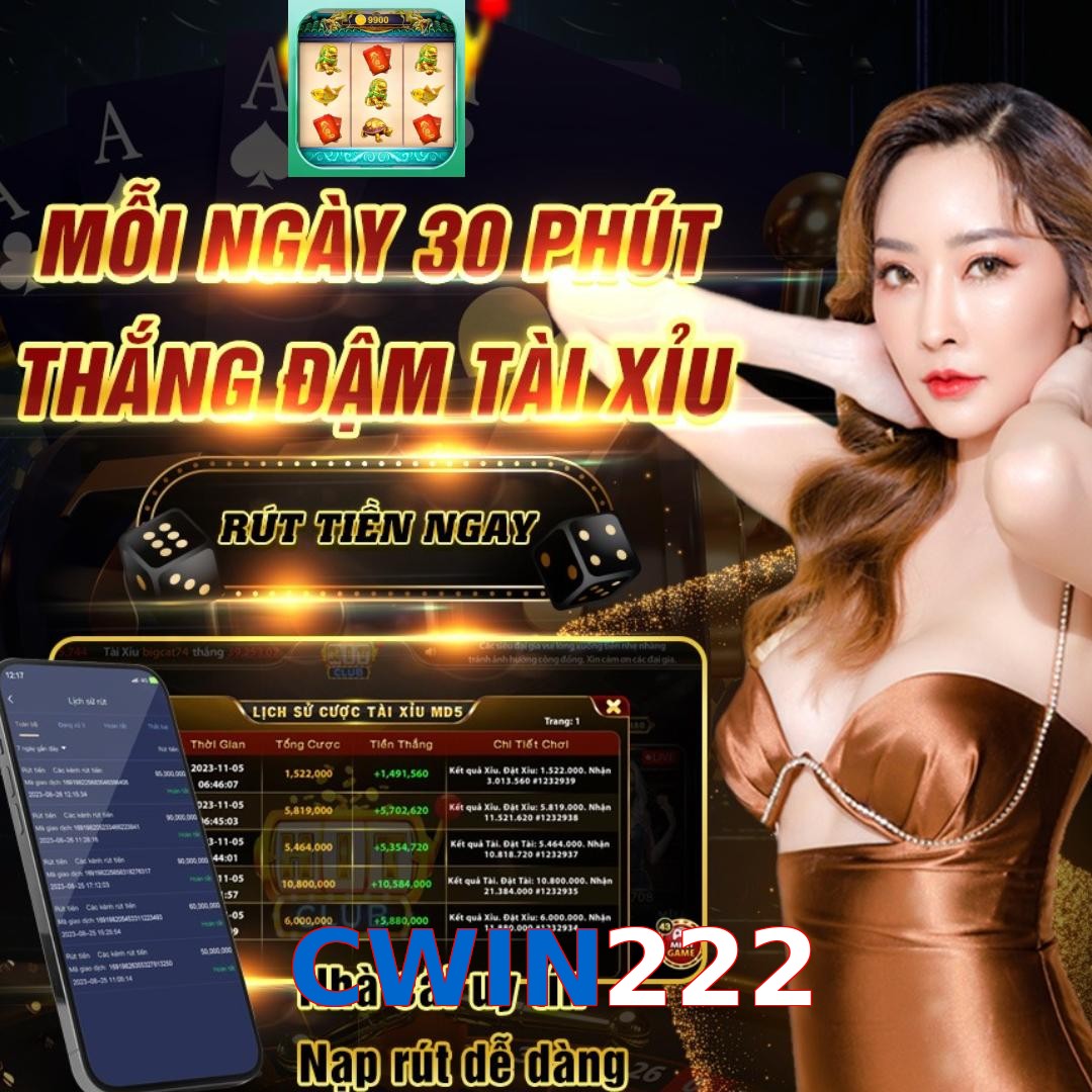 CWIN222