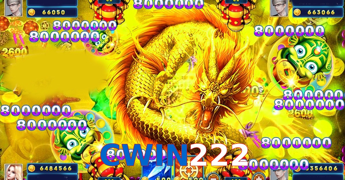 CWIN222