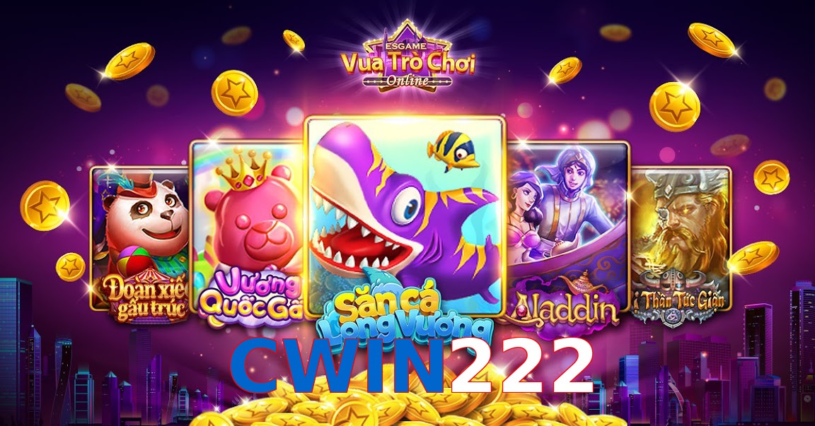 CWIN222