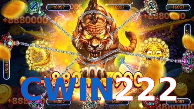 CWIN222