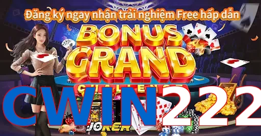CWIN222