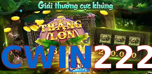 CWIN222