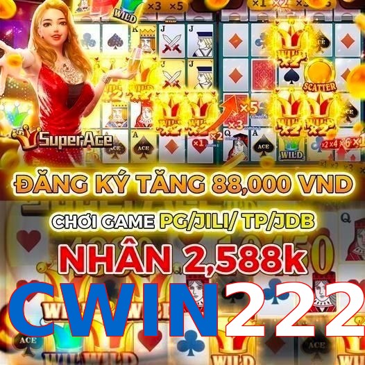 CWIN222