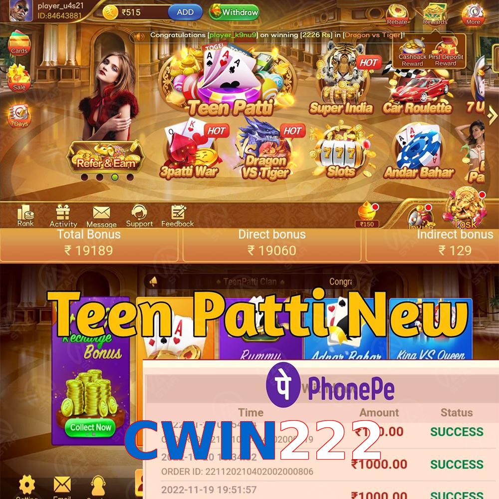 CWIN222