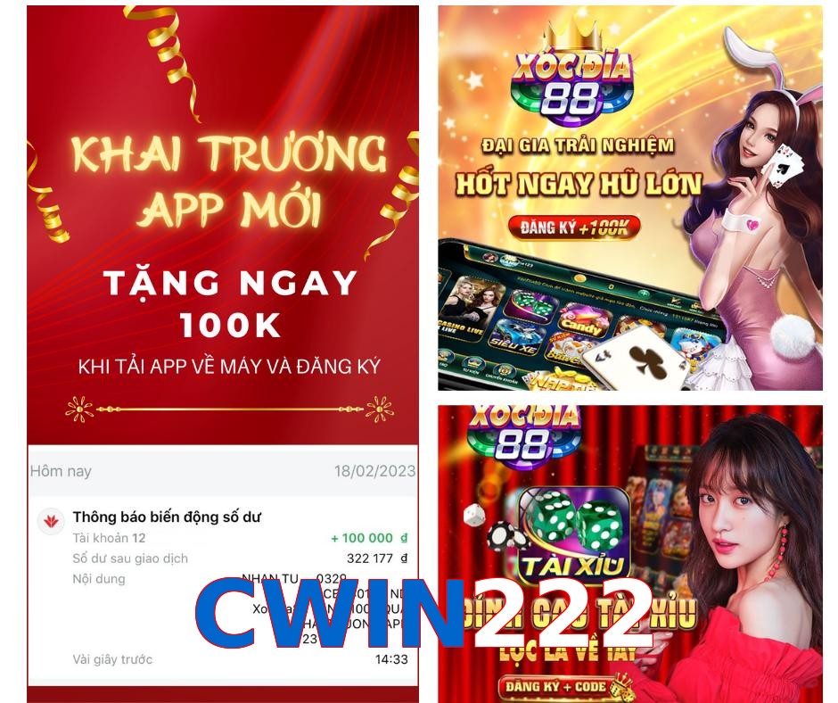 CWIN222